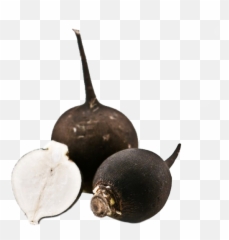 Verdcan Tarim - Radish Png,Radish Png
