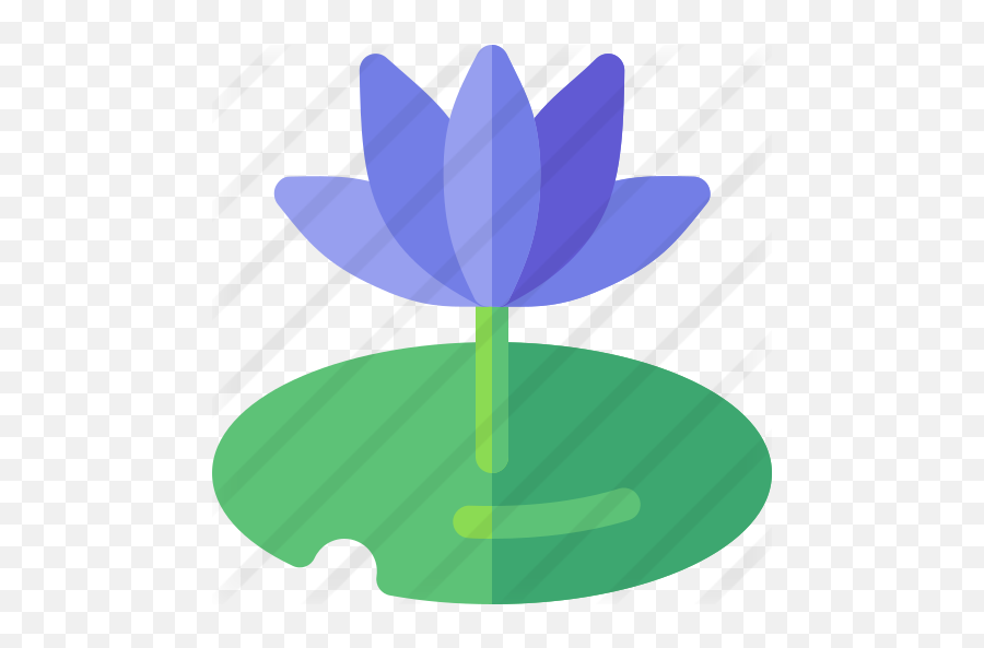 Water Lily - Free Nature Icons Illustration Png,Water Lily Png