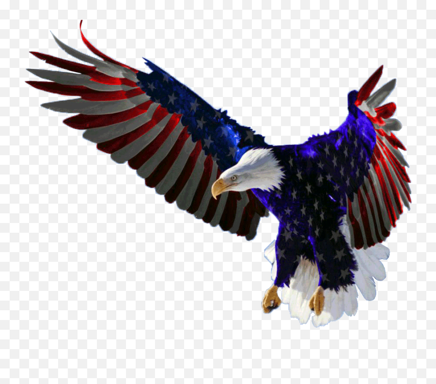 American Eagle Red White And Blue Full Size Png Download - Flying American Flag Eagle,American Eagle Png