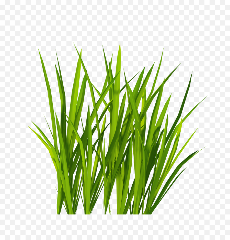 Grass Png Image - Green Grass Png,Grass Png
