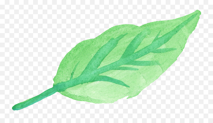 10 Watercolor Leaf Transparent - Green Watercolor Leaf Png,Mint Leaves Png