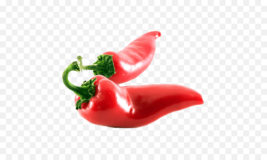 Chili Transparent Png - Stickpng Jalapeno Peppers,Red Pepper Png