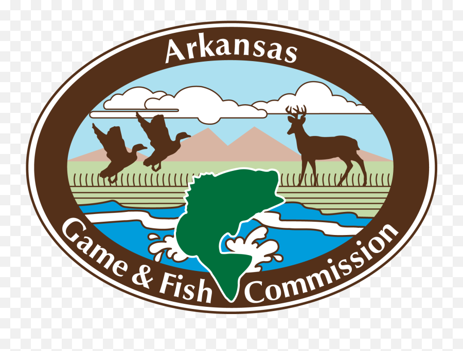 Rice Breast In Ducks Unsightly But No Cause For Alarm - News Arkansas Game And Fish Commission Png,Duck Game Logo
