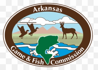 Rice Breast In Ducks Unsightly But No Cause For Alarm - News Arkansas Game And Fish Commission Png,Duck Game Logo