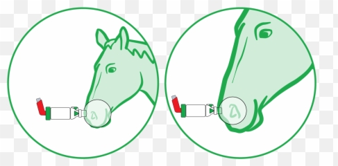 Using Aerohippus Trudell Animal Health - Horse Supplies Png,Horse Mask Png