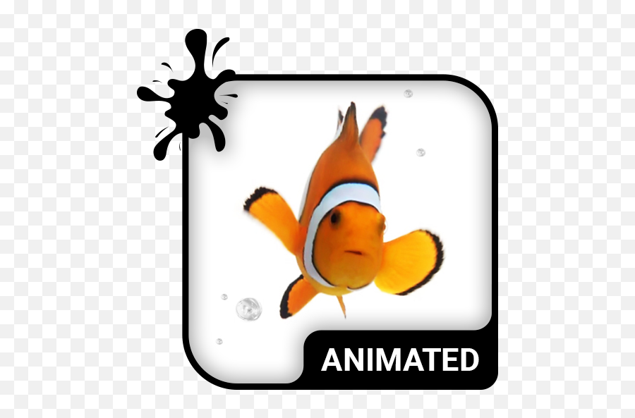 Clown Fish Animated Keyboard Live Wallpaper Old Versions - Phoenix Icon Animated Png,Clownfish Icon