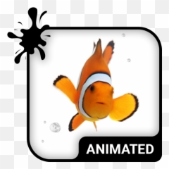 Clown Fish Animated Keyboard Live Wallpaper Old Versions - Phoenix Icon png