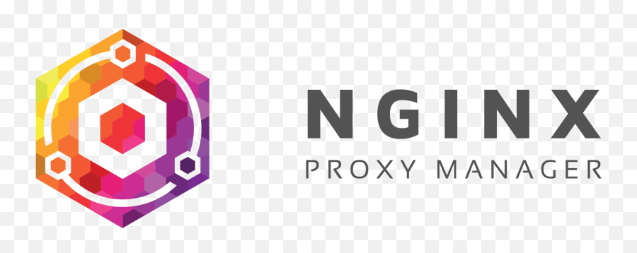 Wildcard Certificates With Nginx Proxy - Nginx Proxy Manager Png,Wildcard Icon Png