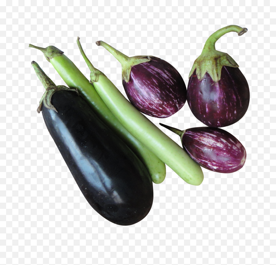 Brinjal Eggplant Png Image Transparent