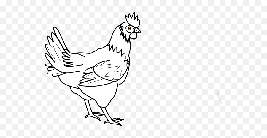 Download Free Png Chicken Outline - Dlpngcom Animals Clip Art Black And White,Minecraft Chicken Png