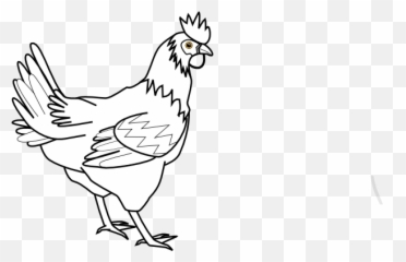 Download Free Png Chicken Outline - Dlpngcom Animals Clip Art Black And White,Minecraft Chicken Png
