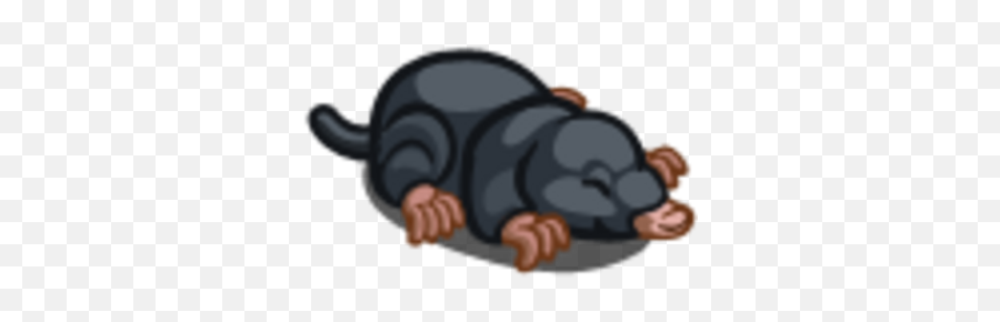 Mole Animal Farmville Wiki Fandom - Soft Png,Mole Icon