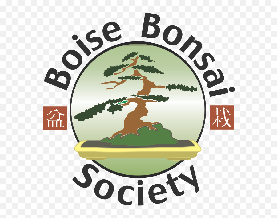 Bonsai Tree Png - Ancient Asian Culture Bonsai,Bonsai Tree Png