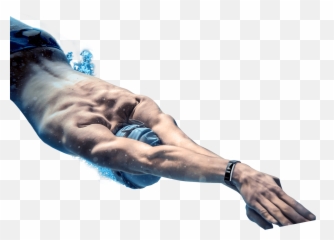 Swimmer Png Download Image With Transparent Background - Swimmers