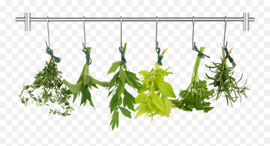Herb Png Pic - Transparent Background Herbs Clipart,Herbs Png