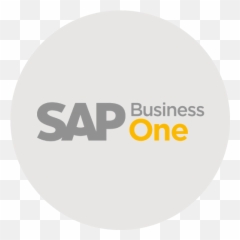 Blog U2013 Ecs - Sap Business One png