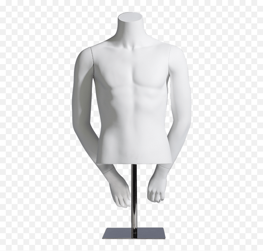 Male Torso Elements Old Bernstein - Mannequin Hd Png,Mannequin Png