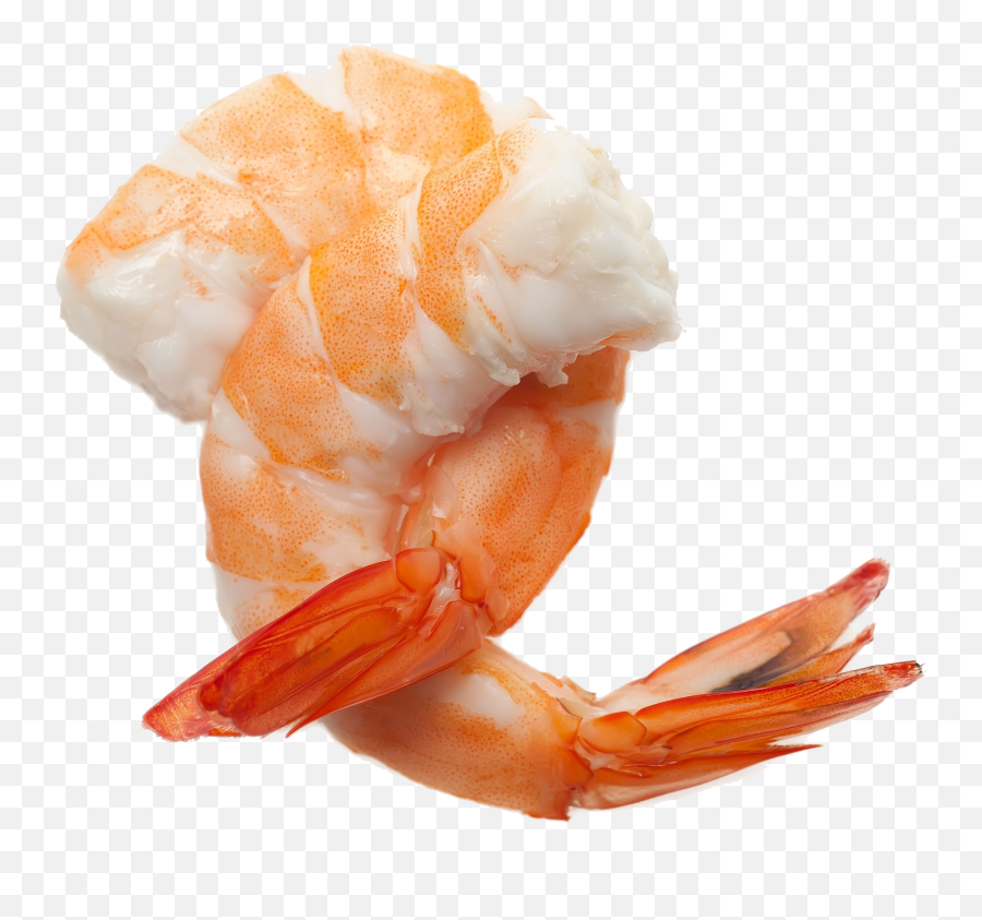 Shrimp No Background Png Play - Cocktail Shrimp Png,Crab Transparent Background