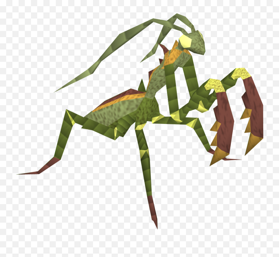 Mantis Png Image File - Praying Mantis With Transparent Background,Mantis Png