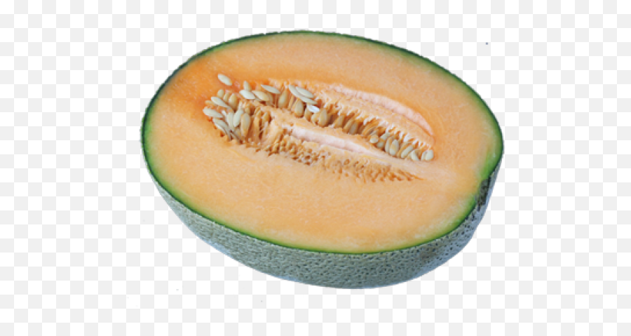 Melon Png Free Download 40 Images - Honeydew,Gourd Png