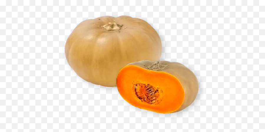 Download Squash Transparent Png - Butternut Squash In Nigeria,Squash Png