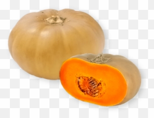 Download Squash Transparent Png - Butternut Squash In Nigeria,Squash Png