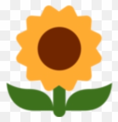 Cropped - Sunflower Emoji Twitter Png,Sun Flower Png