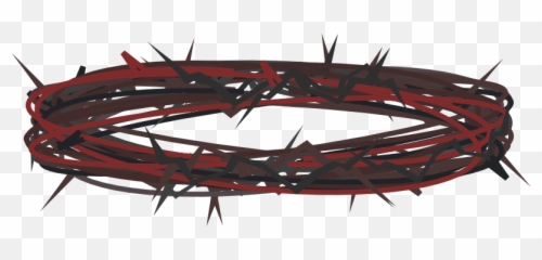 Crown Of Thorns U2013 Sego Lily Foundation - Png