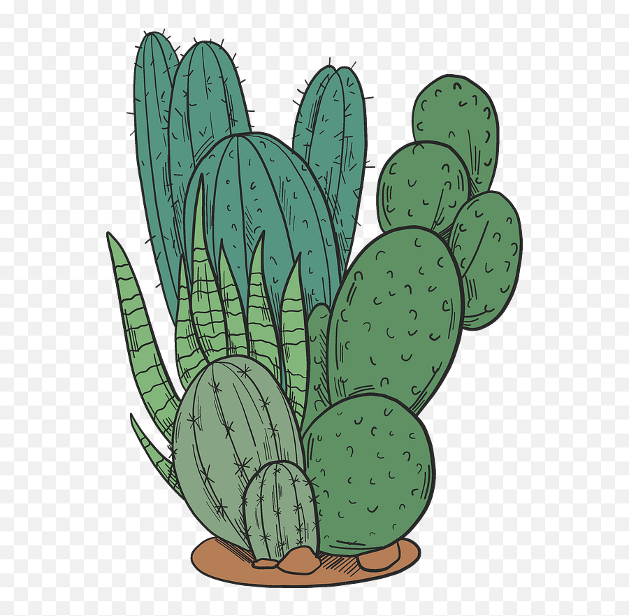 Cactuses Clipart Free Download Transparent Png Creazilla - Eastern Prickly Pear,Nopal Png