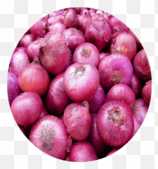 Onion - Pakistan Red Onions Transparent Cartoon Indian Big png