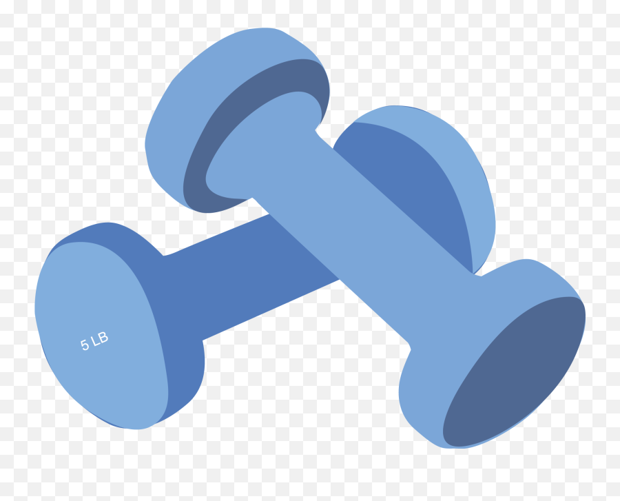 Exercise Weights Clipart - Transparent Exercise Equipment Clipart Png,Weights Transparent