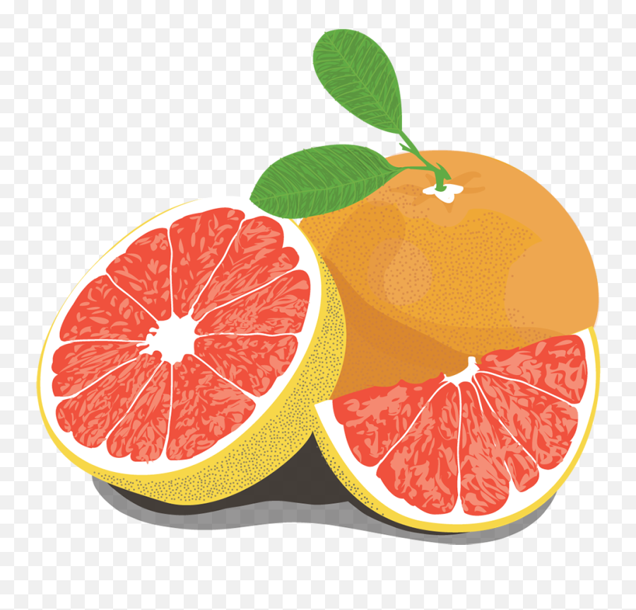 Illustration Mellobets - Pomelo Png,Grapefruit Png