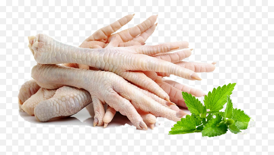 Chicken Feet - Frozen Chicken Feet Png,Feet Transparent