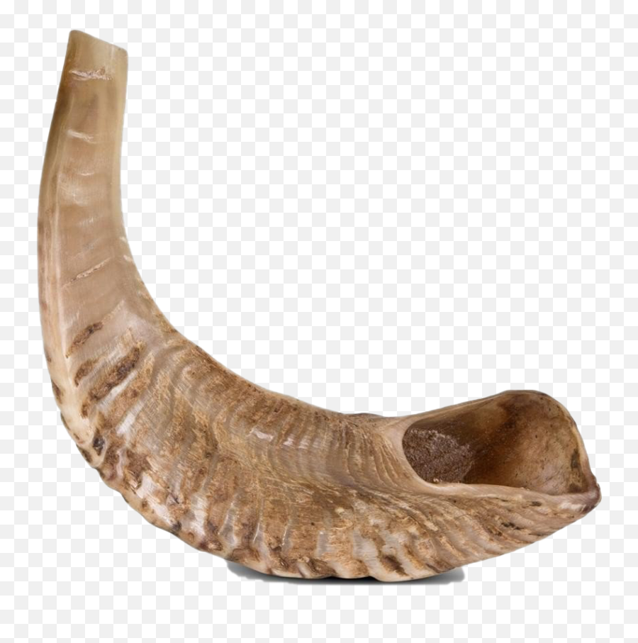 Shofar Transparent Background - Shofar No Background Png,Horseshoe Transparent Background