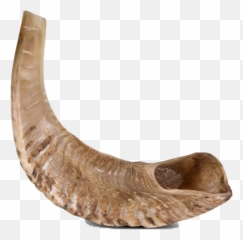 Shofar Transparent Background - No png