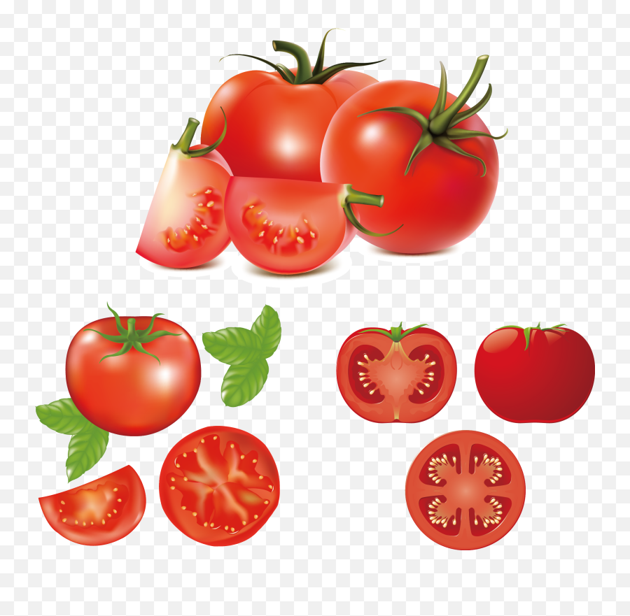 Download Hd Hamburger Caprese Salad Clip Art Fresh Tomatoes - Vector Tomatoes Png,Tomato Png