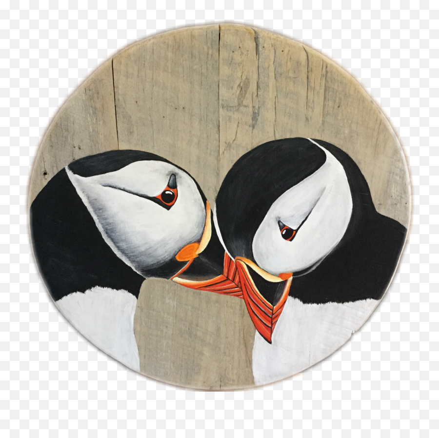 Bird Portfolio - Atlantic Puffin Png,Puffin Png