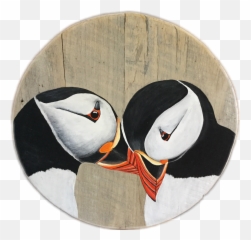 Bird Portfolio - Atlantic Puffin Png,Puffin Png