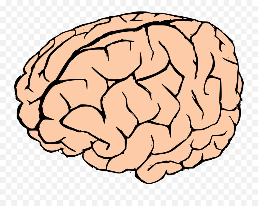Cartoon Brain Png 5 Image - Brain Clipart Transparent Background,Cartoon  Brain Png - free transparent png images 