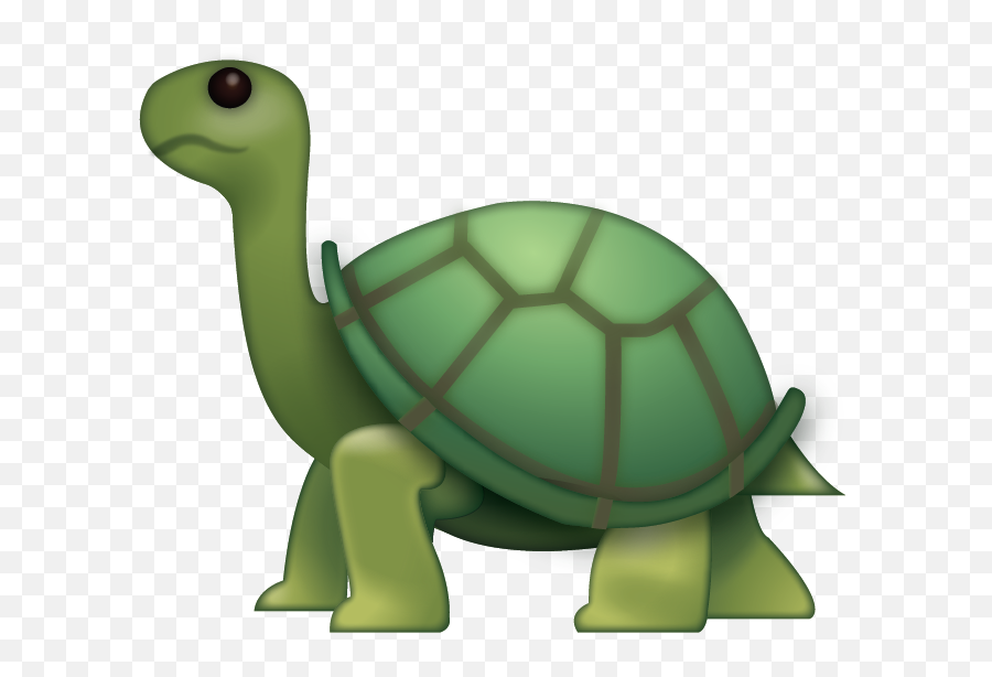Turtle Emoji Free Download Ios Emojis Faces - Turtle Emoji Png,Snake Emoji Png