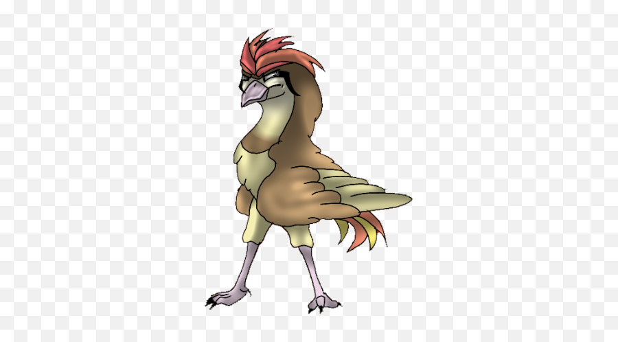 Hawk Kingdom Of Pokemon Wiki Fandom - Rooster Png,Hawk Png