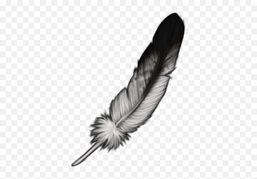 eagle feather png