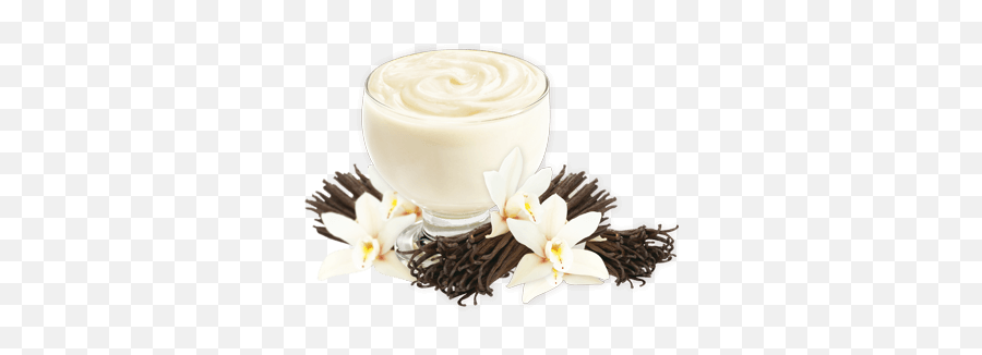 Vanilla Pudding Mix - Does Vanilla Bean Come Png,Pudding Png