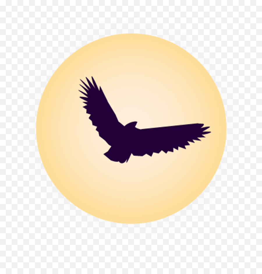Solar Moon Nighthawk Png Transparent Clipart - Ocswebserver Buzzard,Moon Silhouette Png