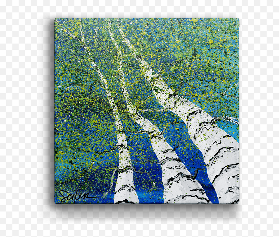 Looking Skyward Aspen Trees Box Art - Paper Birch Png,Png Skyward