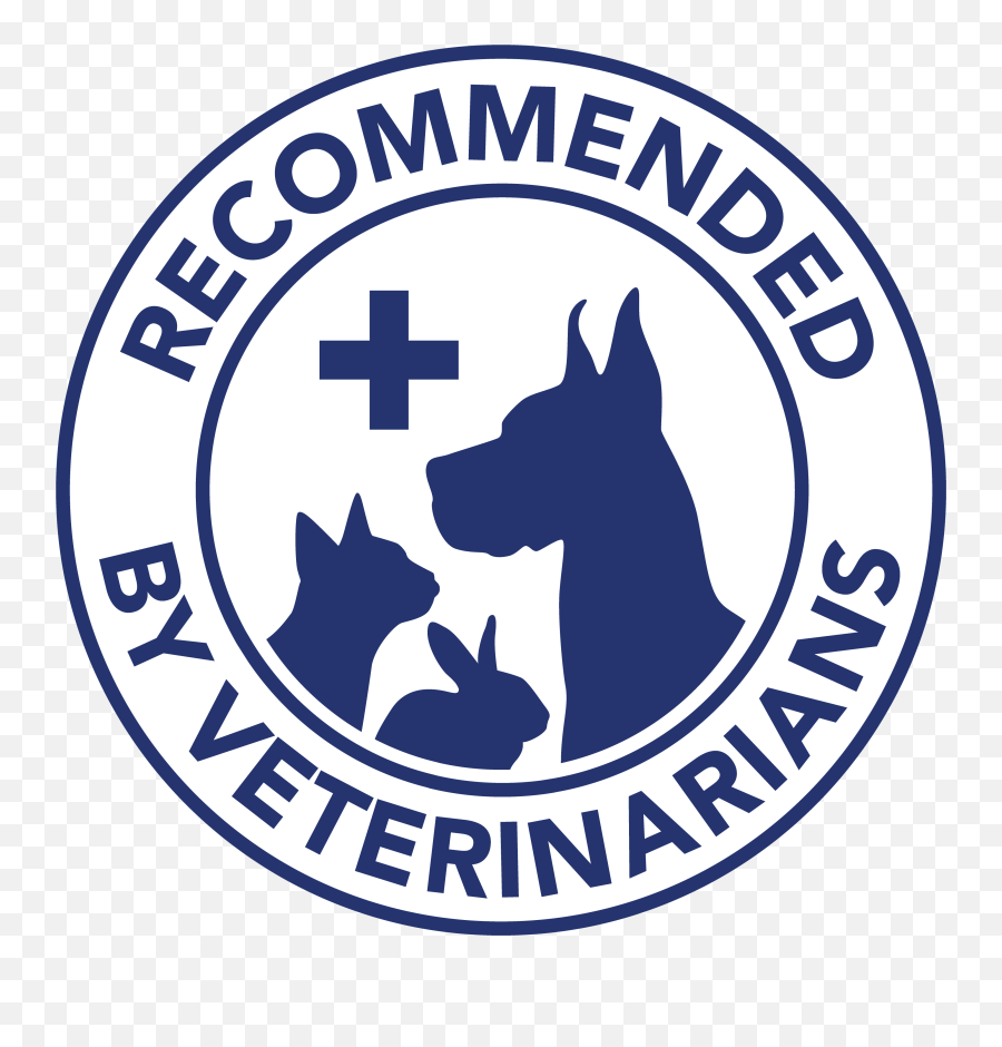 Mps - Medical Pets Boot Dog Medical Pet Shirts Kennel Club Png,Blue Paw Print Logos