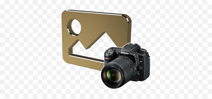 Photography For Your Website - Gordon Lang Web Design Tel Nikon D7500 Png,Nikon Lens Icon