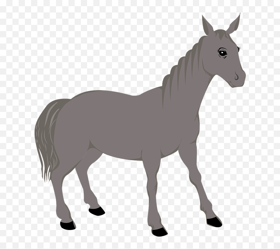 Animal Horse Icon - Free Vector Graphic On Pixabay Png,White Horse Icon