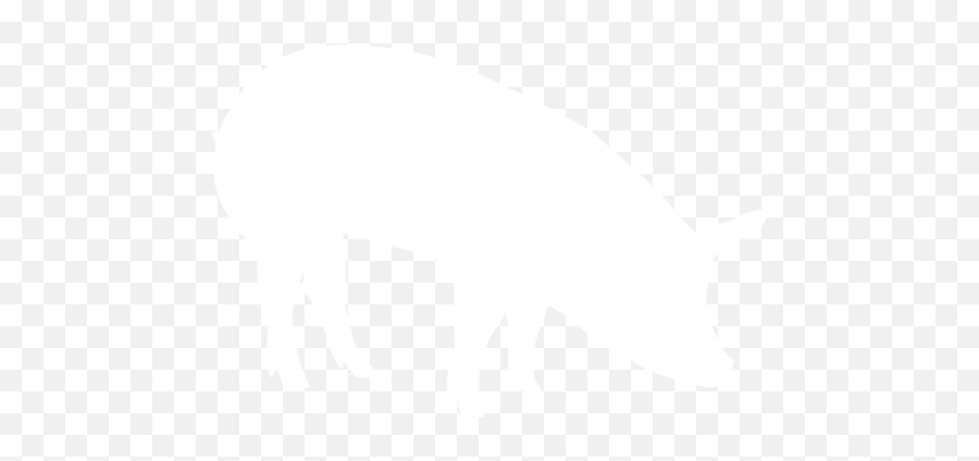 White Pig 5 Icon - Free White Animal Icons Pig Logo White Png,Free Pig Icon