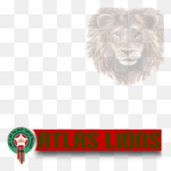 Moroccan National Team Lions - Royal Moroccan Football Federation Png,Lions Png